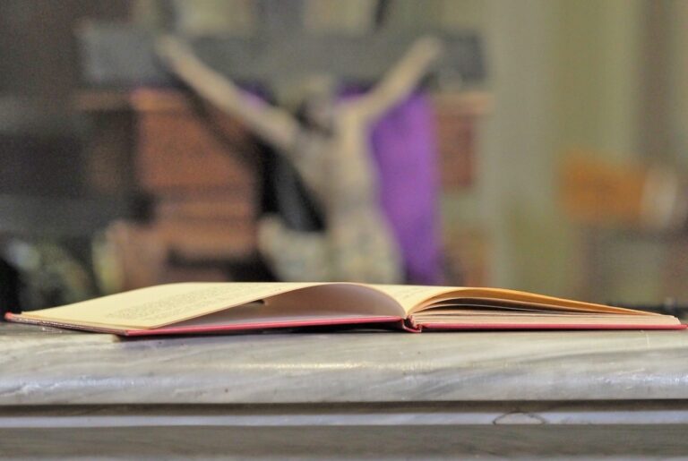 OLYMPUS DIGITAL CAMERA OLYMPUS DIGITAL CAMERA