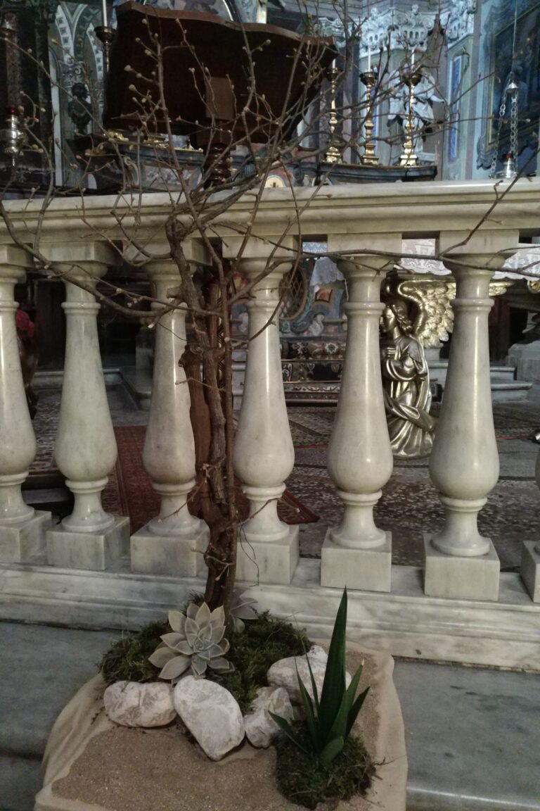 fiori in Quaresima 2