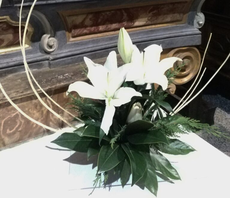 Ufficio Liturgico Immacolata Concezione