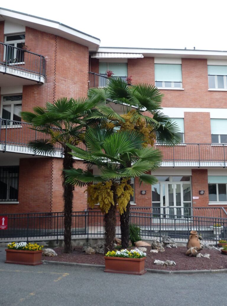 Casa Apostolica Cottolengo 2